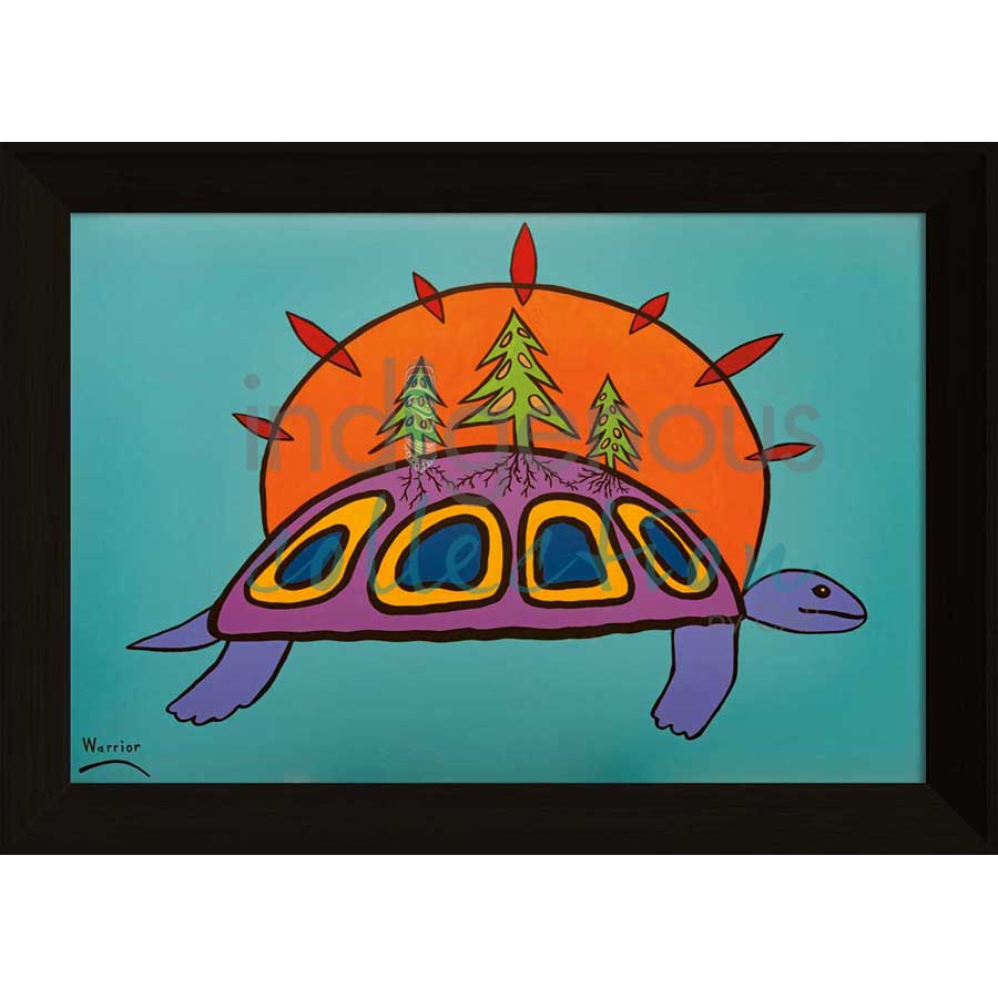 Turtle Island by artist Lorne Julien - Mi'kmaq. Indigenous Collection
