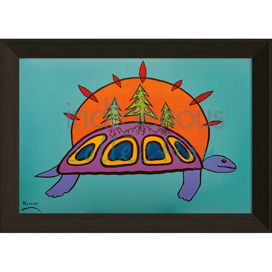 Turtle Island by artist Lorne Julien - Mi'kmaq. Indigenous Collection