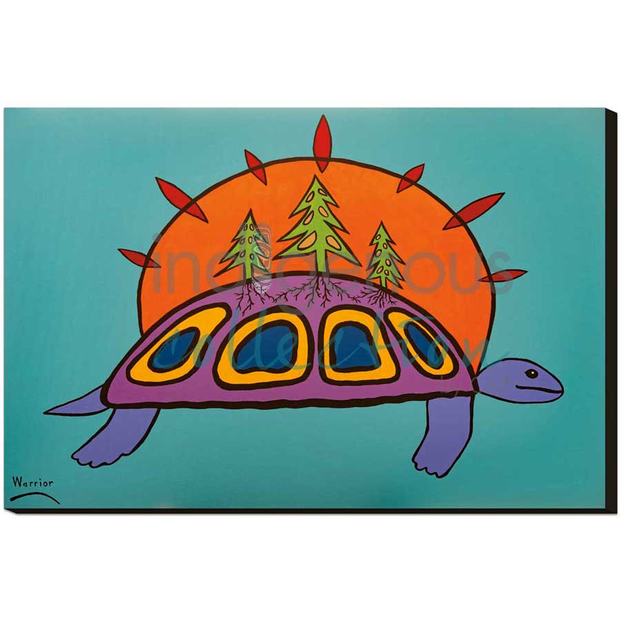 Turtle Island by artist Lorne Julien - Mi'kmaq. Indigenous Collection