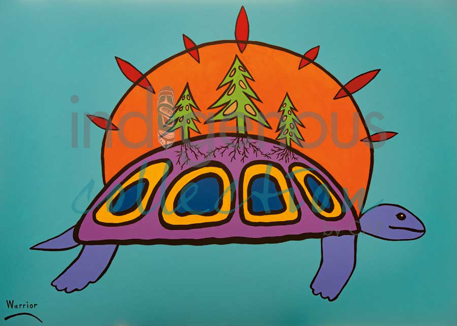 Turtle Island by artist Lorne Julien