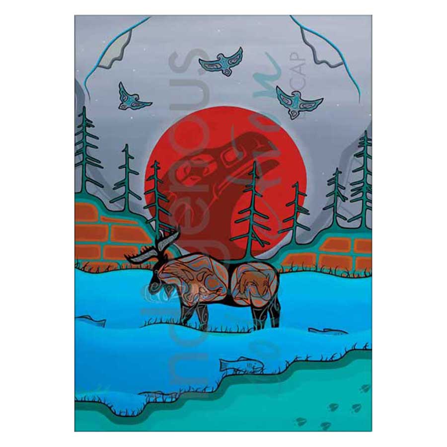 Spawning Moose Canvas Prints