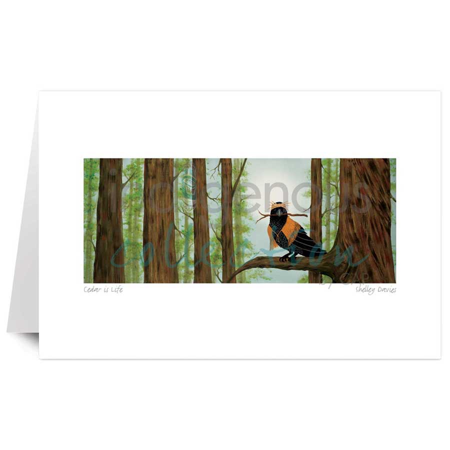 Cedar is Life by artist Shelley Davies