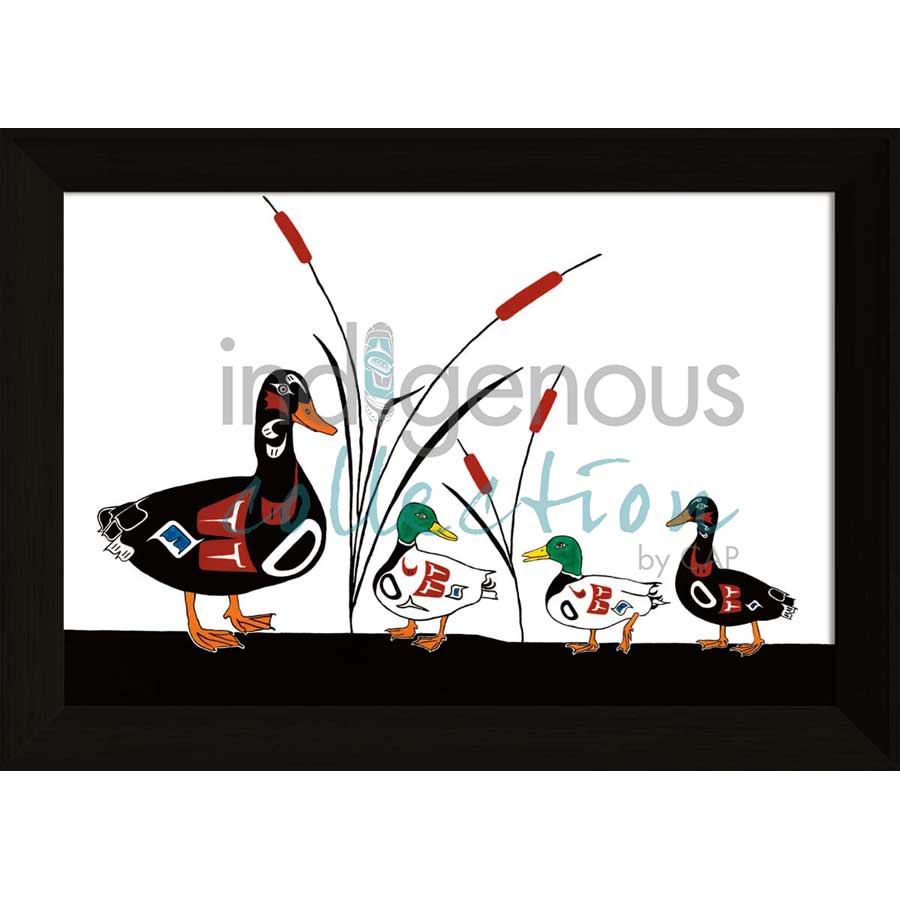 Duck Family by artist Shirley Babcock - Coast Salish/Kwakwaka'wakw. Indigenous Collection