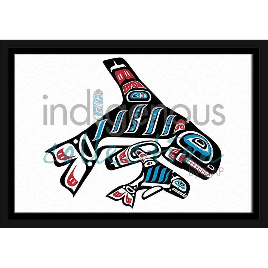 Orca and Baby by artist Shirley Babcock - Coast Salish/Kwakwaka'wakw. Indigenous Collection
