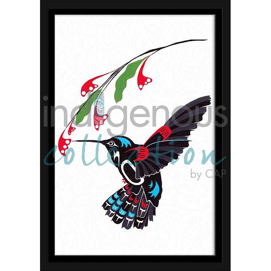 Hummingbird by artist Shirley Babcock - Coast Salish/Kwakwaka'wakw. Indigenous Collection