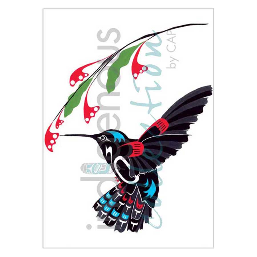 Hummingbird Canvas Prints