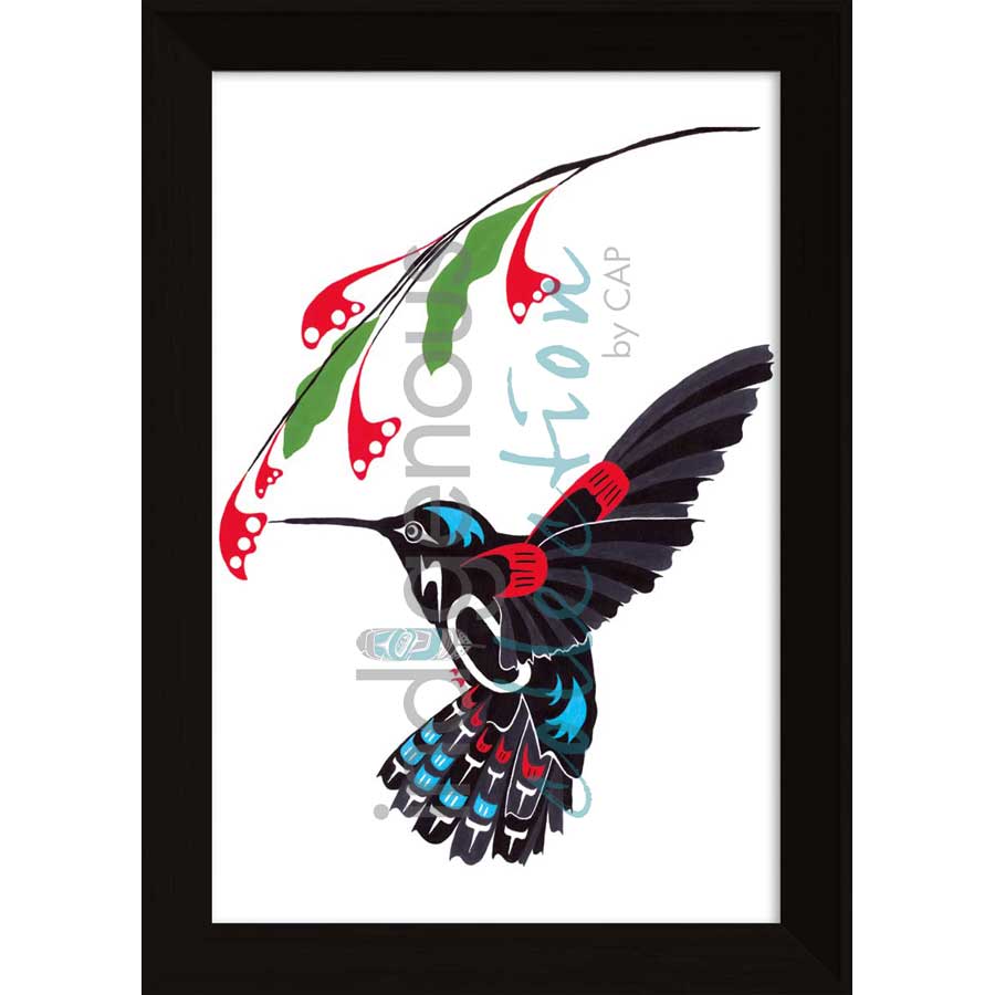 Hummingbird by artist Shirley Babcock - Coast Salish/Kwakwaka'wakw. Indigenous Collection