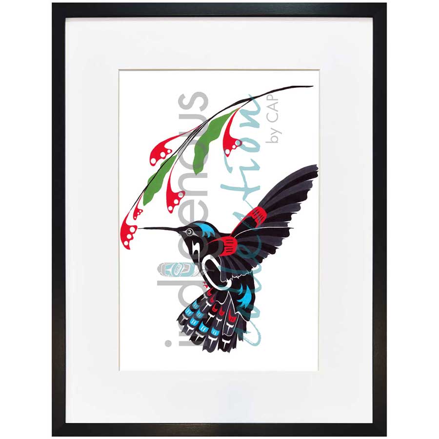 Hummingbird by artist Shirley Babcock - Coast Salish/Kwakwaka'wakw. Indigenous Collection