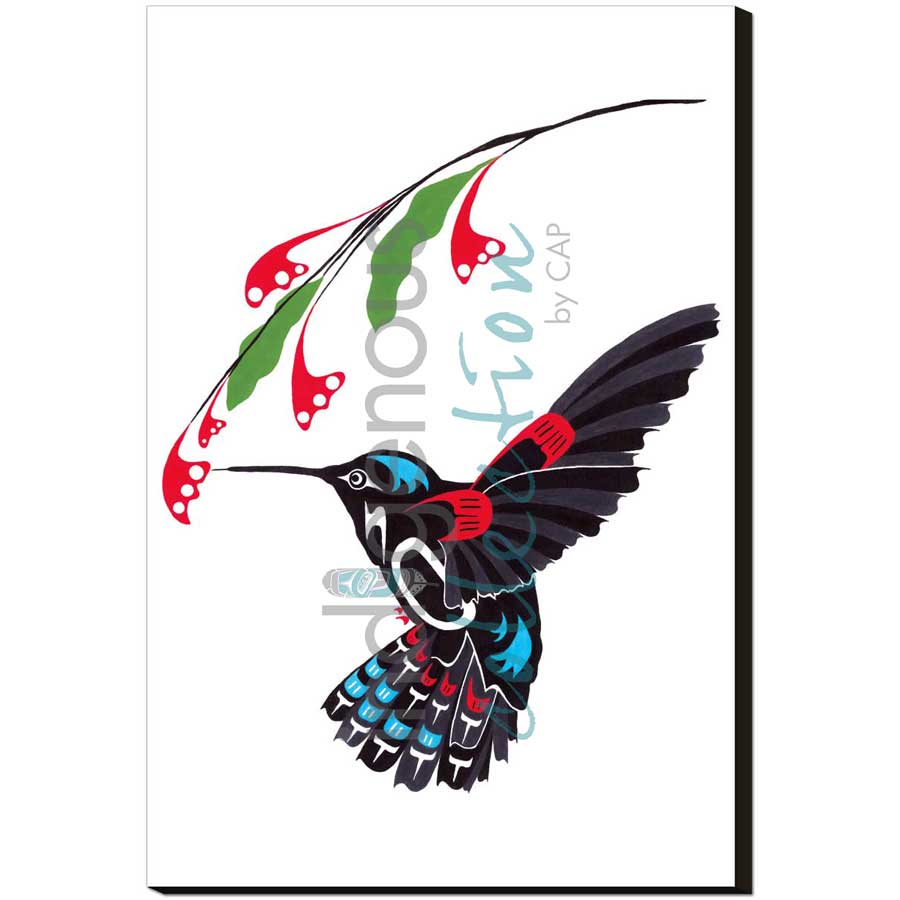 Hummingbird by artist Shirley Babcock - Coast Salish/Kwakwaka'wakw. Indigenous Collection