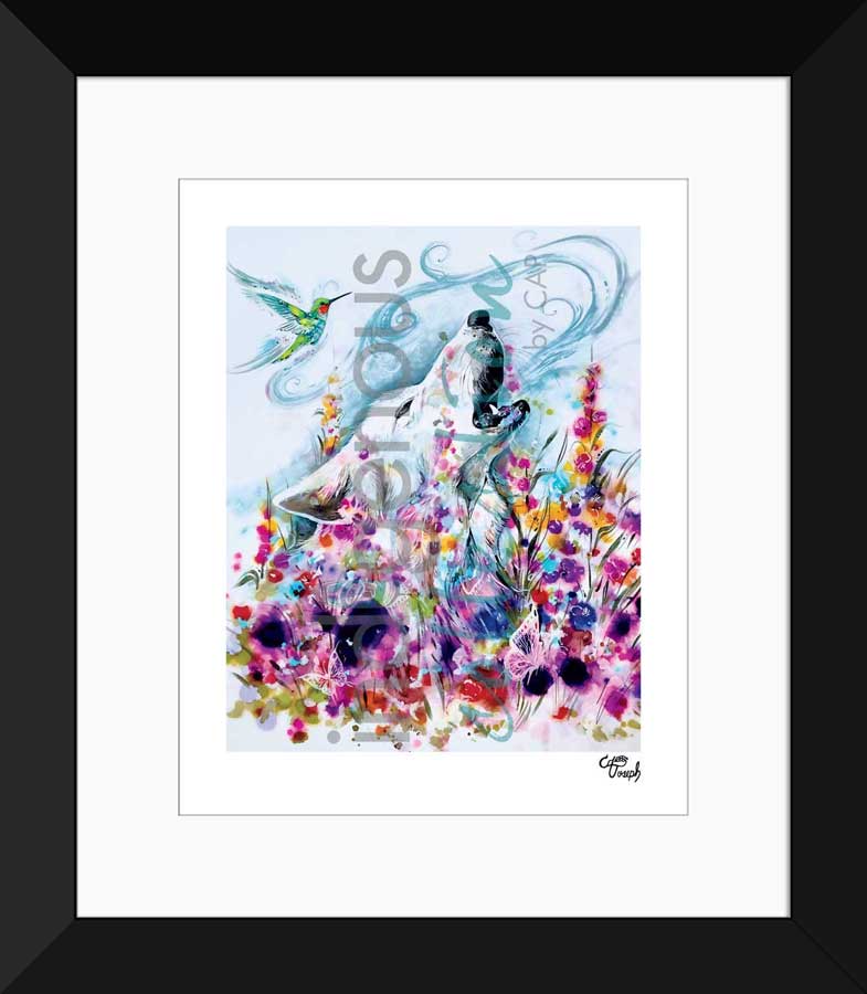 Wild Flowers Limited Edition. Indigenous Collection