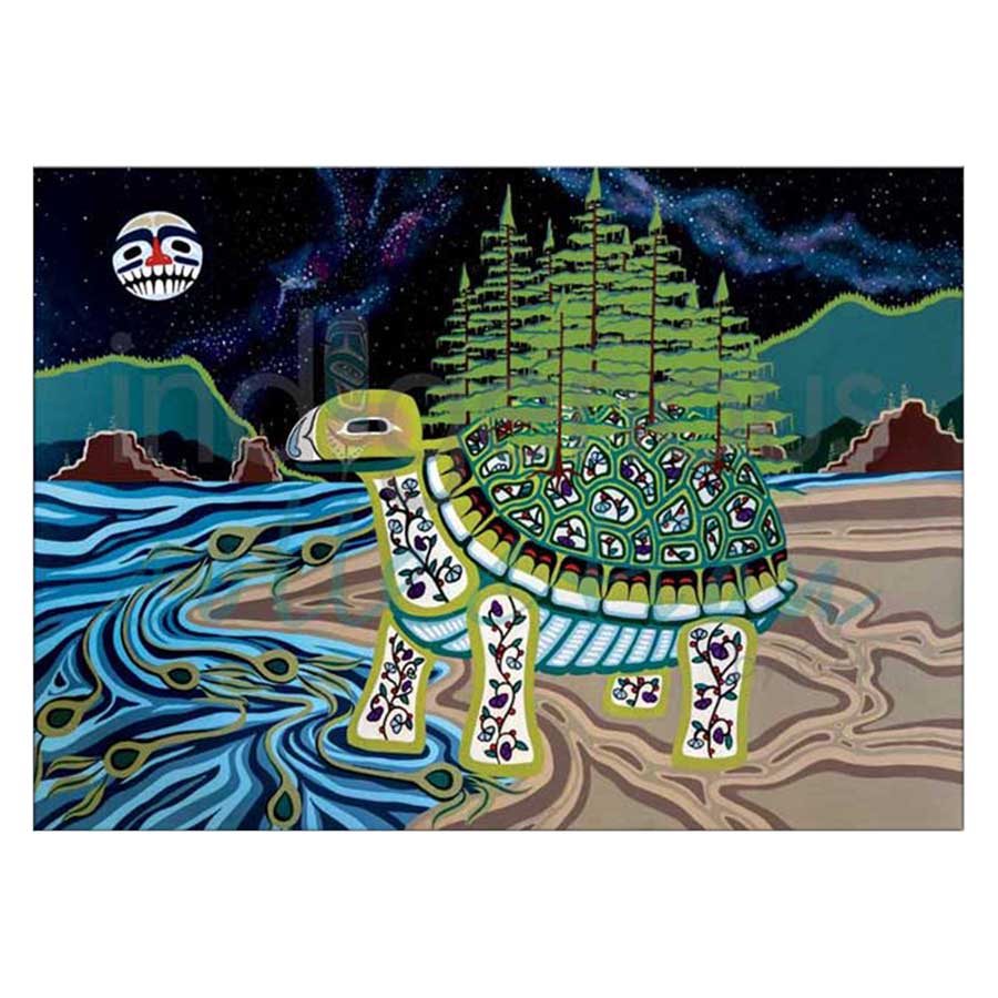 Turtle Island Canvas Prints
