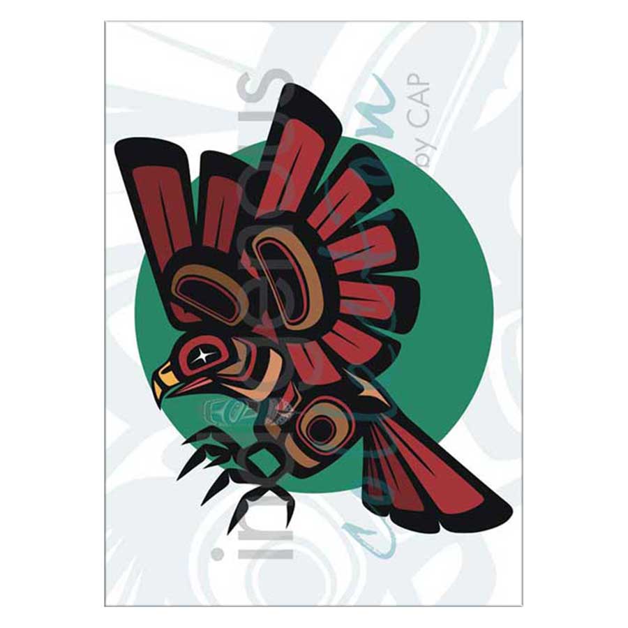 Hawk Canvas Prints