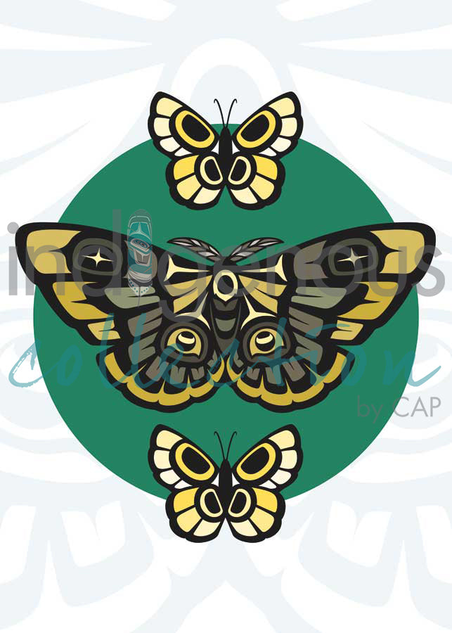 Moth and Butterflies by artist Chantelle Trainor-Matties