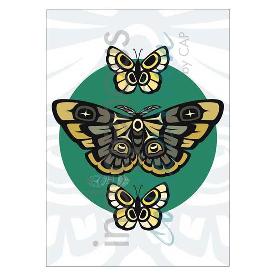 Moth and Butterflies Canvas Prints