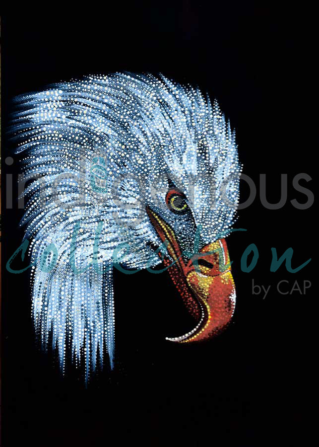 Kihew (Eagle) by artist Delreé  Dumont