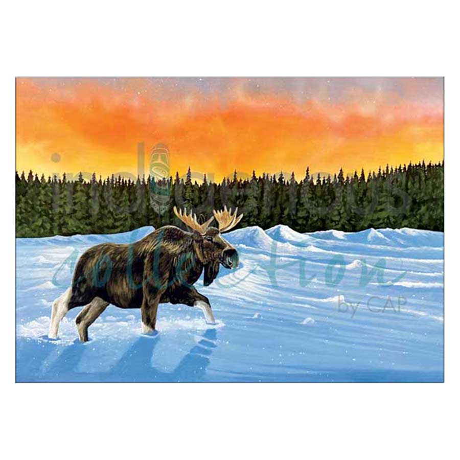 Glistening Snow Canvas Prints