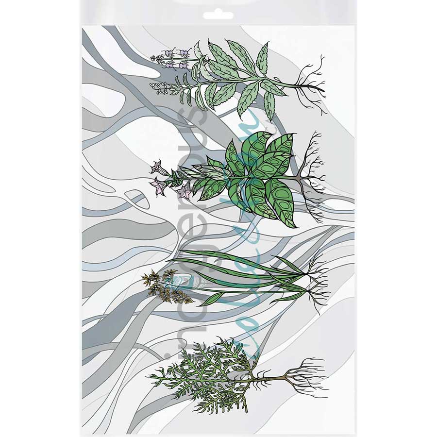 Aanjinaawad Ombaabate / Medicine  by artist Adrienne Assinewai - Anishinaabe. Indigenous Collection