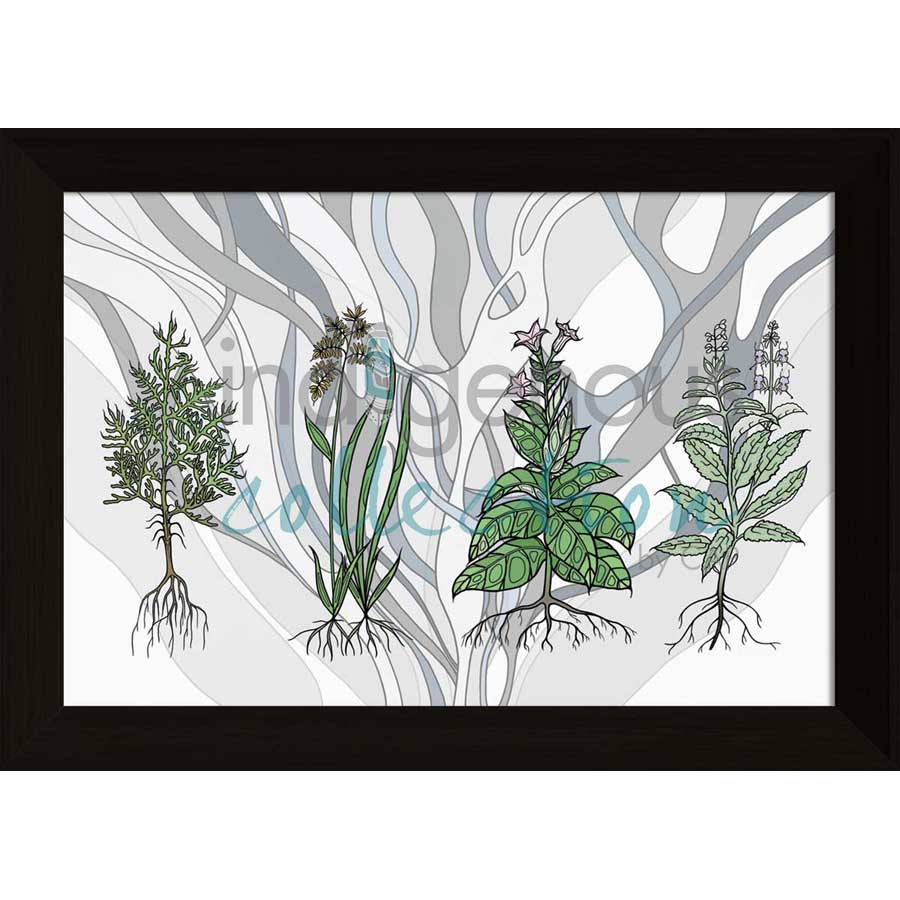 Aanjinaawad Ombaabate / Medicine  by artist Adrienne Assinewai - Anishinaabe. Indigenous Collection