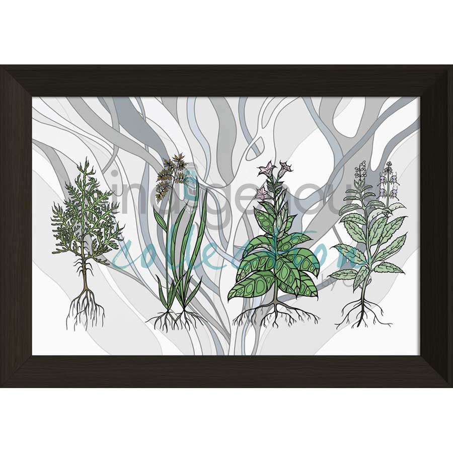 Aanjinaawad Ombaabate / Medicine  by artist Adrienne Assinewai - Anishinaabe. Indigenous Collection