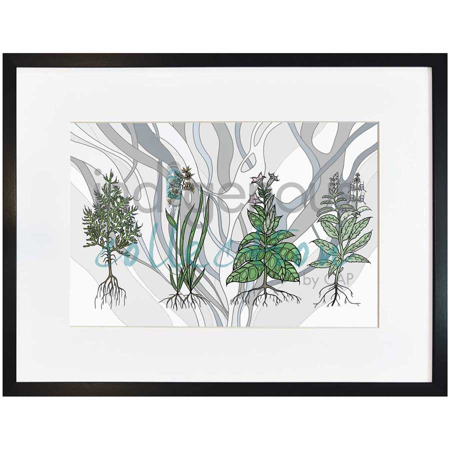 Aanjinaawad Ombaabate / Medicine  by artist Adrienne Assinewai - Anishinaabe. Indigenous Collection