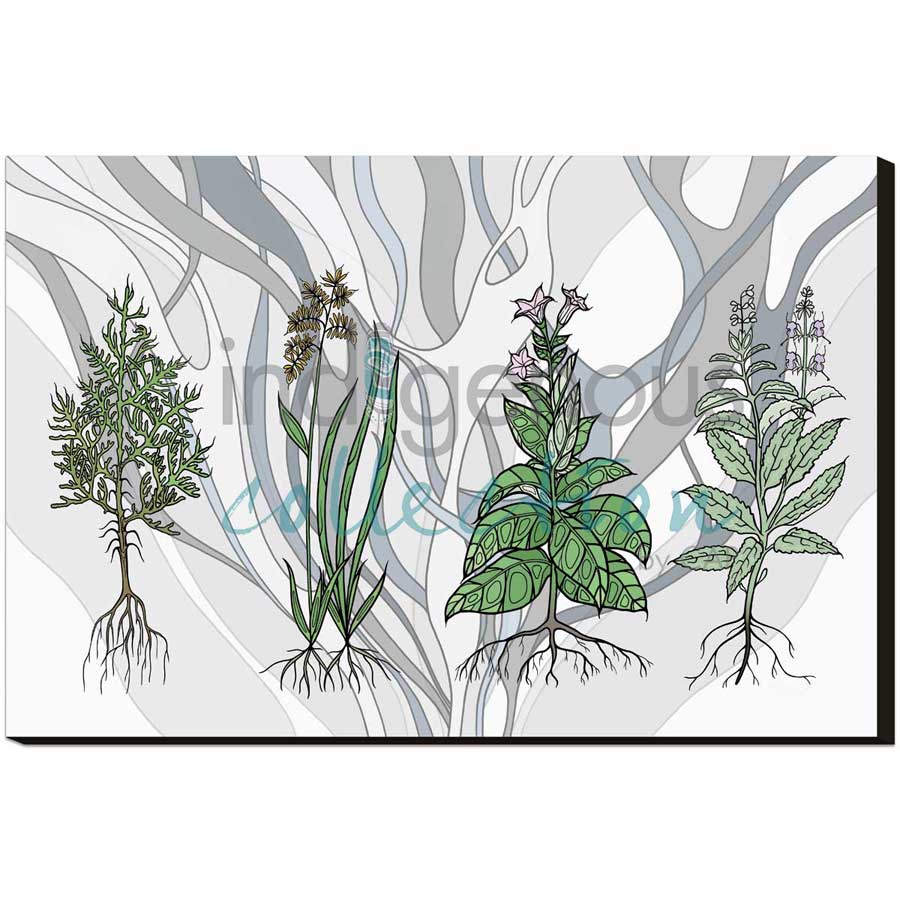 Aanjinaawad Ombaabate / Medicine  by artist Adrienne Assinewai - Anishinaabe. Indigenous Collection