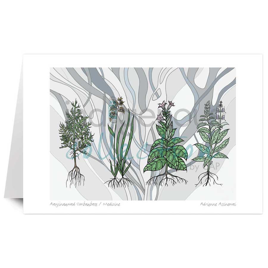 Aanjinaawad Ombaabate / Medicine  by artist Adrienne Assinewai