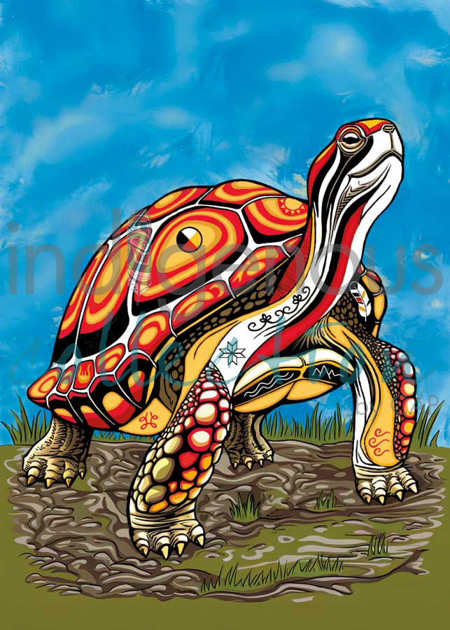 Spirit Turtle by artist Stephanie White