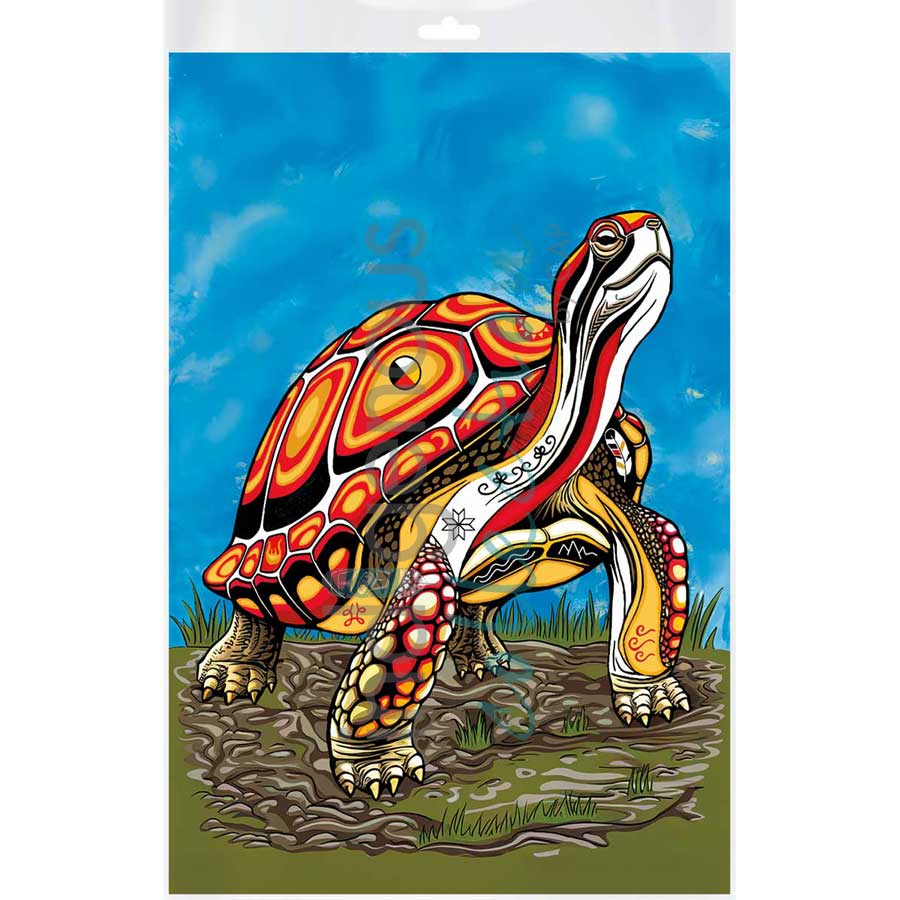 Spirit Turtle by artist Stephanie White - Mi'kmaq. Indigenous Collection