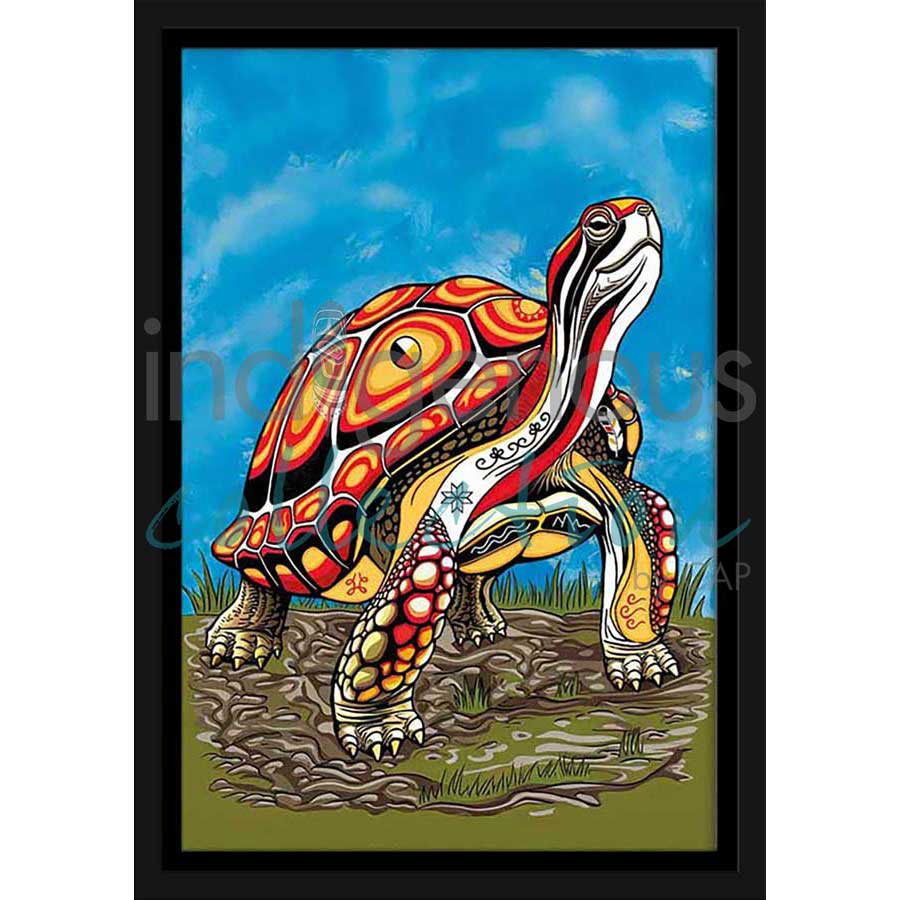 Spirit Turtle by artist Stephanie White - Mi'kmaq. Indigenous Collection