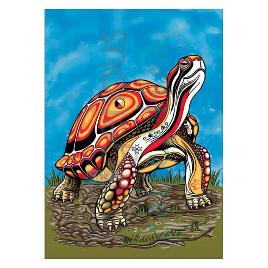 Spirit Turtle Canvas Prints