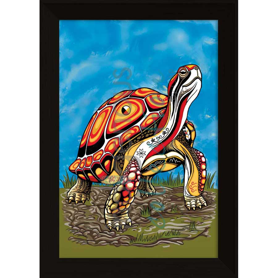 Spirit Turtle by artist Stephanie White - Mi'kmaq. Indigenous Collection