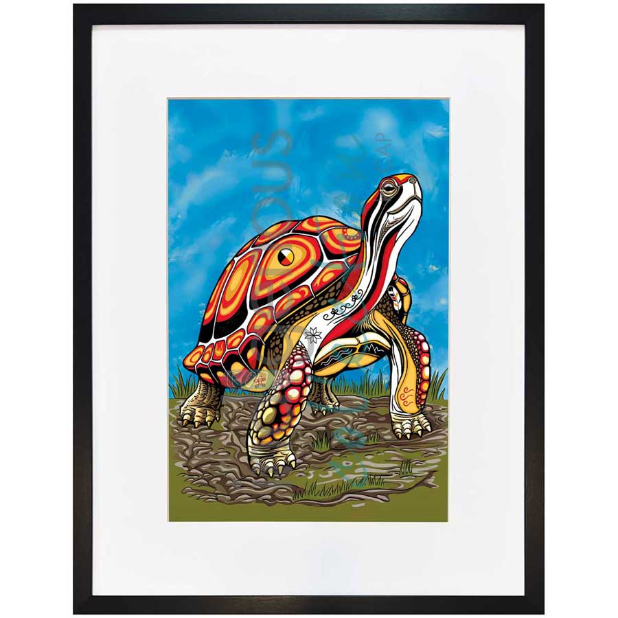 Spirit Turtle by artist Stephanie White - Mi'kmaq. Indigenous Collection