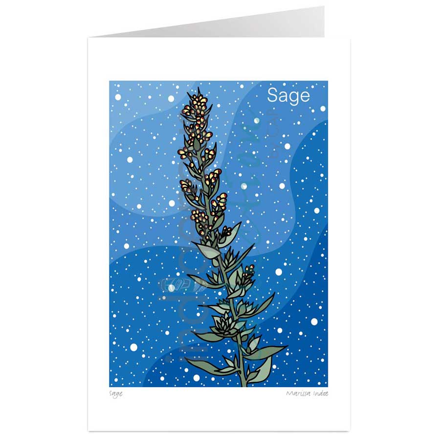 Sage by artist Marissa Indoe