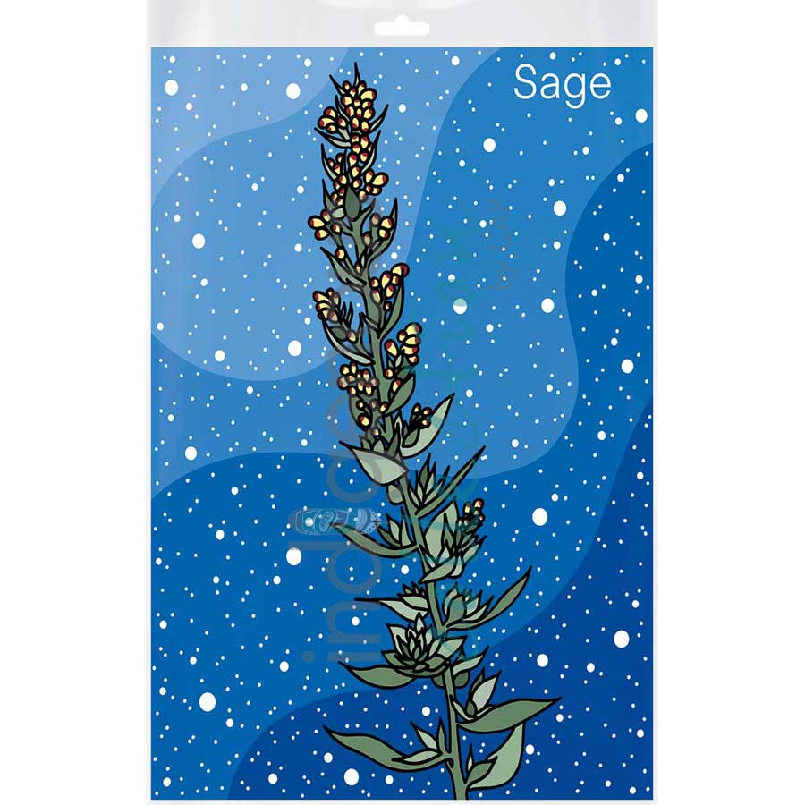 Sage by artist Marissa Indoe - Anishinaabe. Indigenous Collection