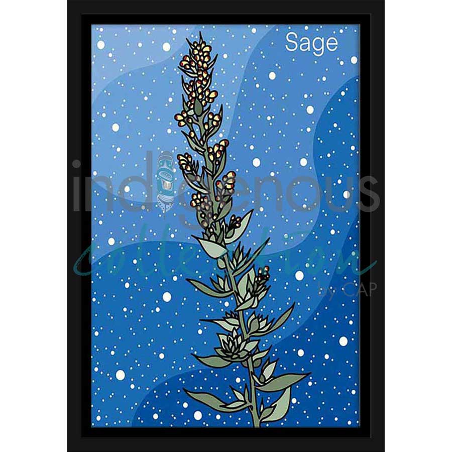Sage by artist Marissa Indoe - Anishinaabe. Indigenous Collection