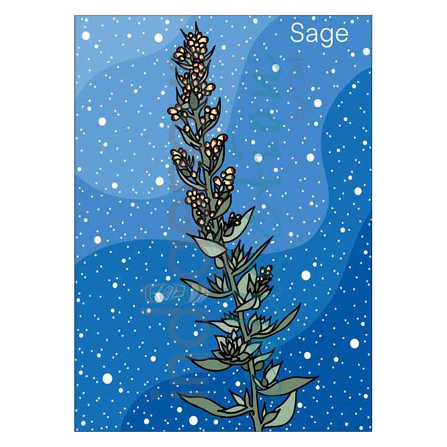 Sage Canvas Prints