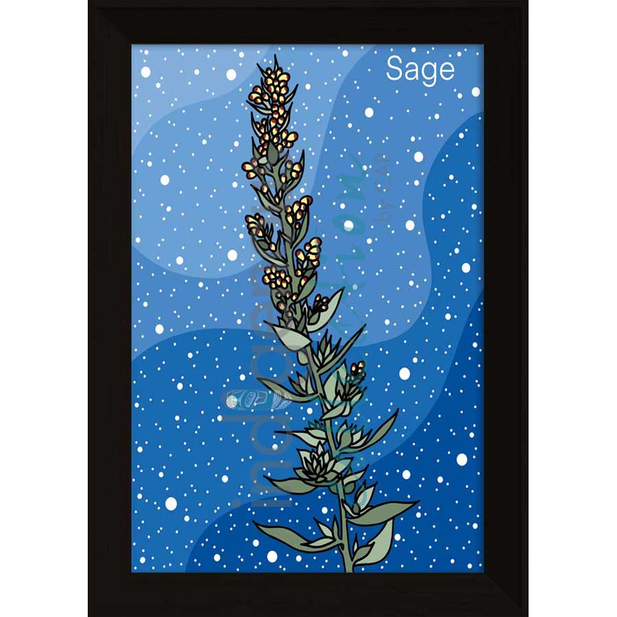 Sage by artist Marissa Indoe - Anishinaabe. Indigenous Collection