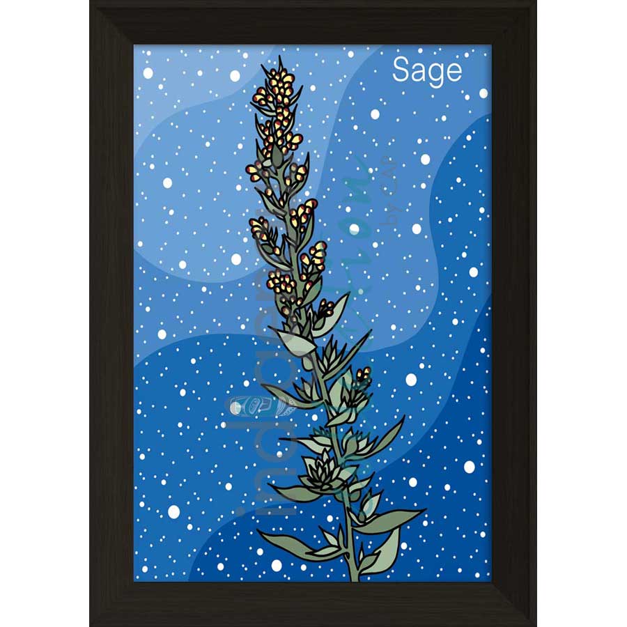 Sage by artist Marissa Indoe - Anishinaabe. Indigenous Collection
