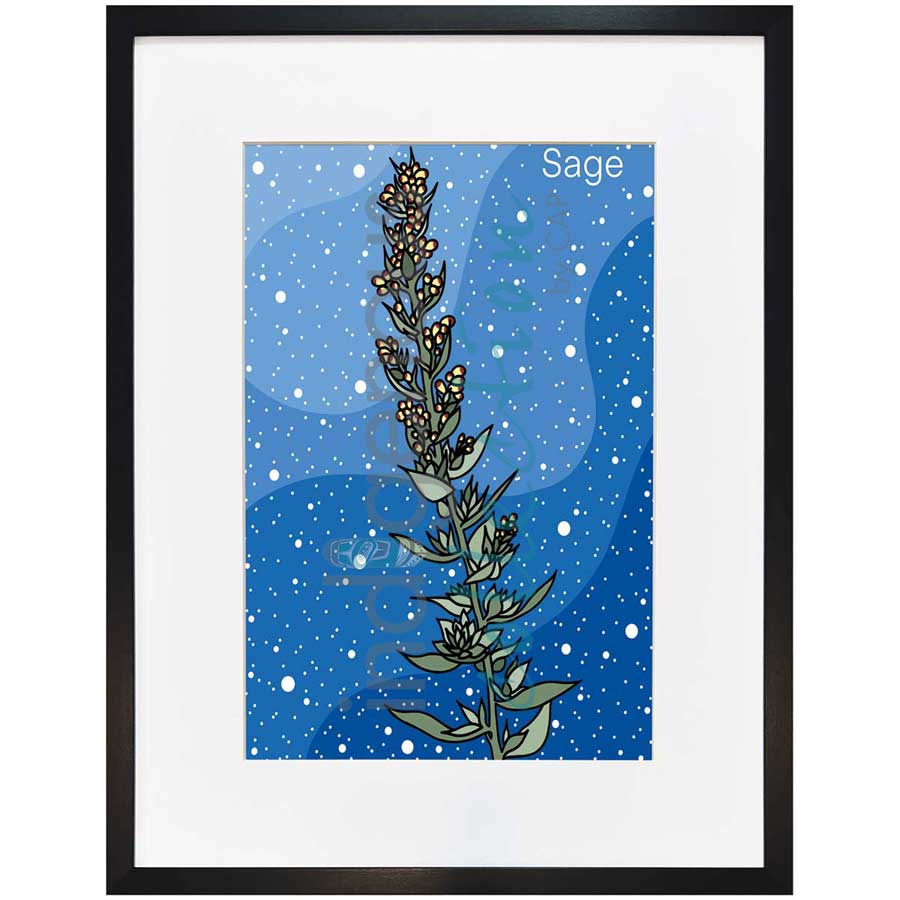 Sage by artist Marissa Indoe - Anishinaabe. Indigenous Collection