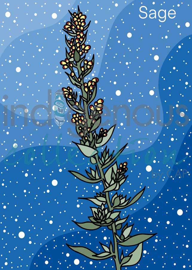 Sage by artist Marissa Indoe