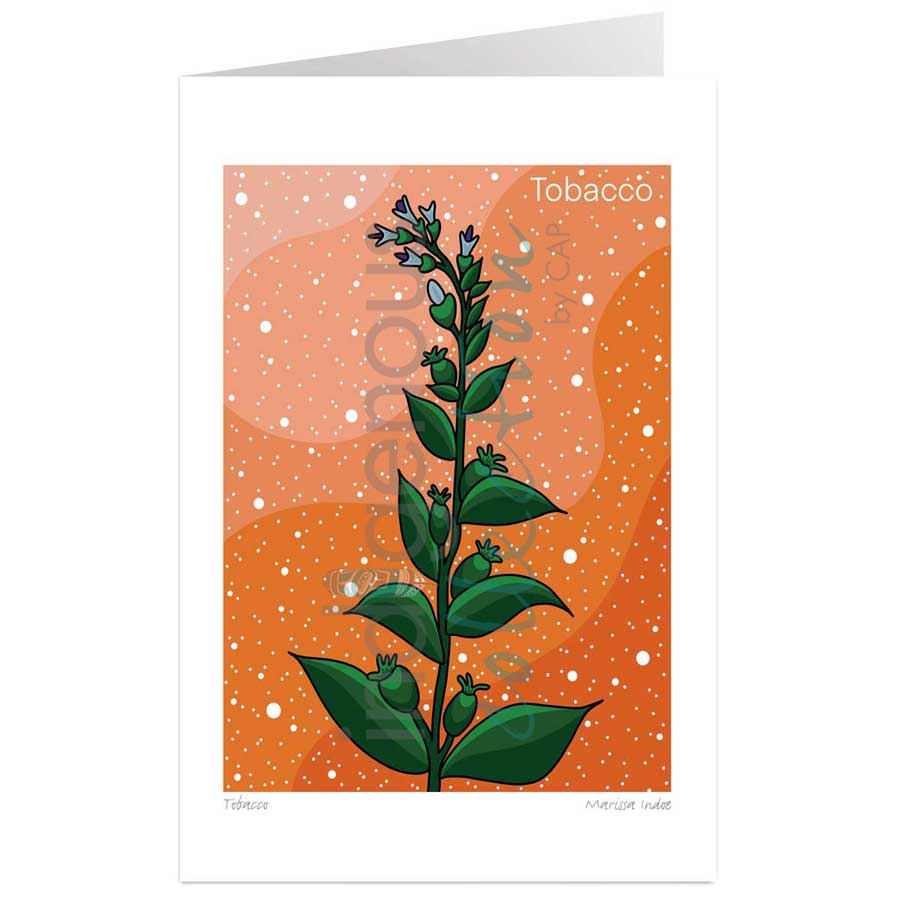 Tobacco by artist Marissa Indoe