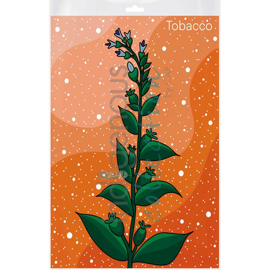 Tobacco by artist Marissa Indoe - Anishinaabe. Indigenous Collection