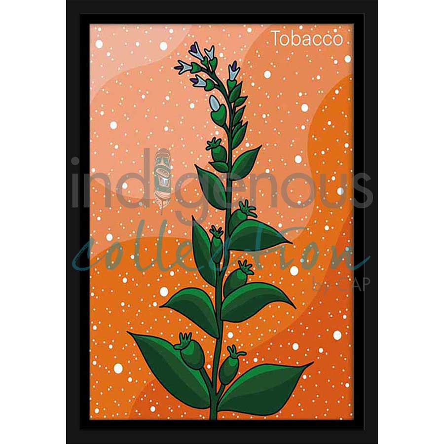 Tobacco by artist Marissa Indoe - Anishinaabe. Indigenous Collection