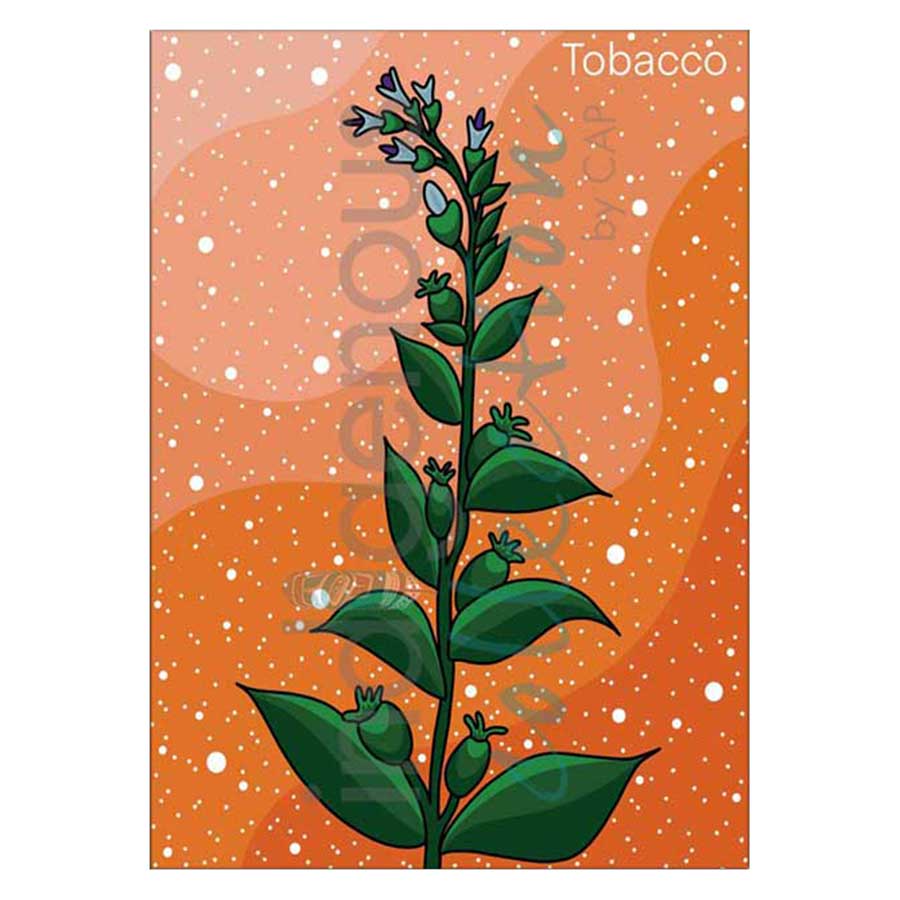 Tobacco Canvas Prints