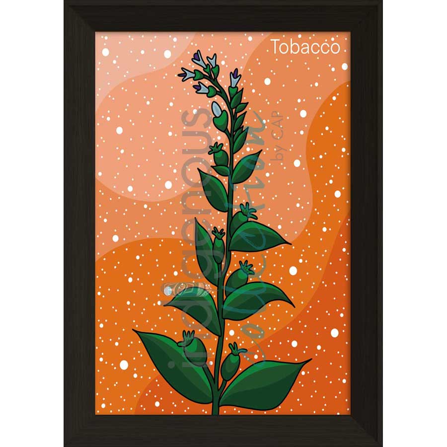 Tobacco by artist Marissa Indoe - Anishinaabe. Indigenous Collection