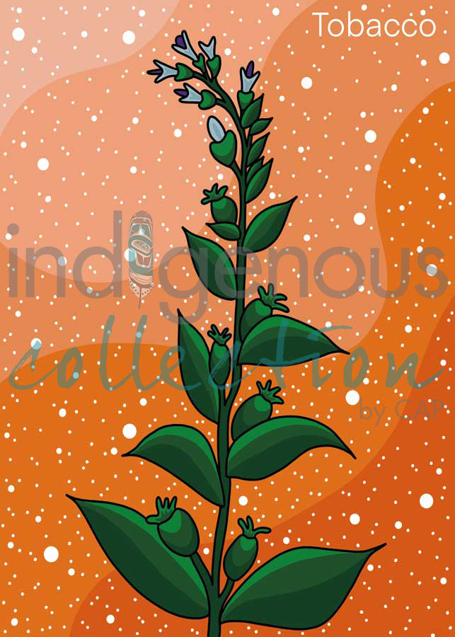 Tobacco by artist Marissa Indoe