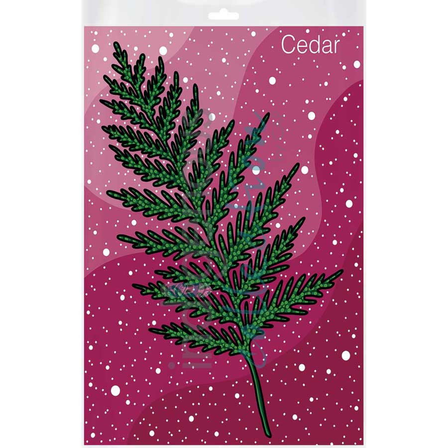 Cedar by artist Marissa Indoe - Anishinaabe. Indigenous Collection