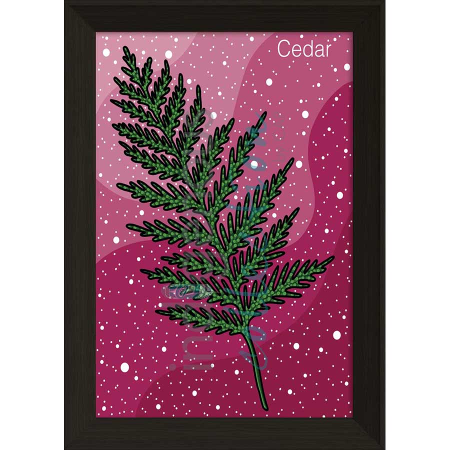 Cedar by artist Marissa Indoe - Anishinaabe. Indigenous Collection