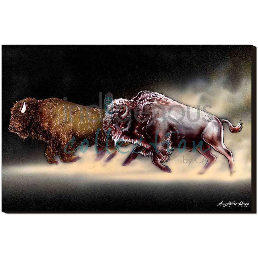 Thunder Valley by artist Amy Keller-Rempp - Mohawk. Indigenous Collection