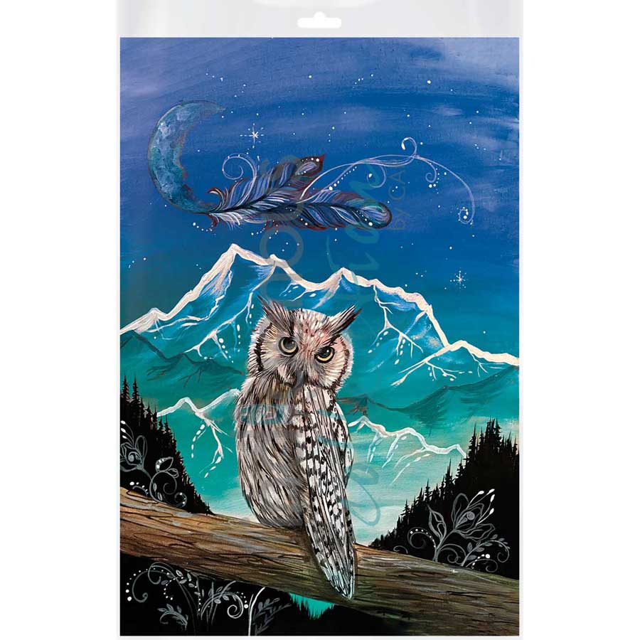 Little Owl by artist Karen Erickson - Métis/Cree. Indigenous Collection